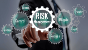 Image representing elements of risk management