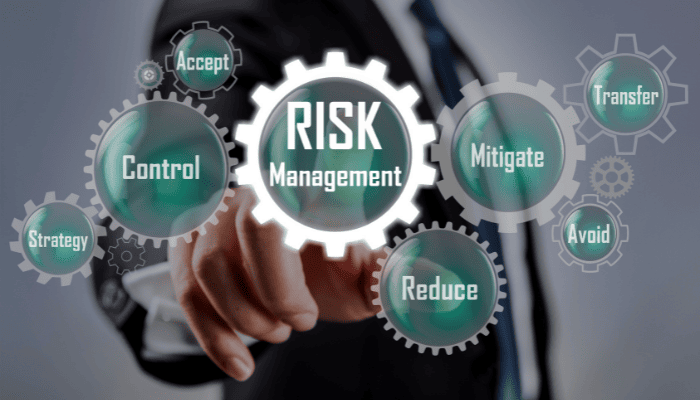 Image representing elements of risk management